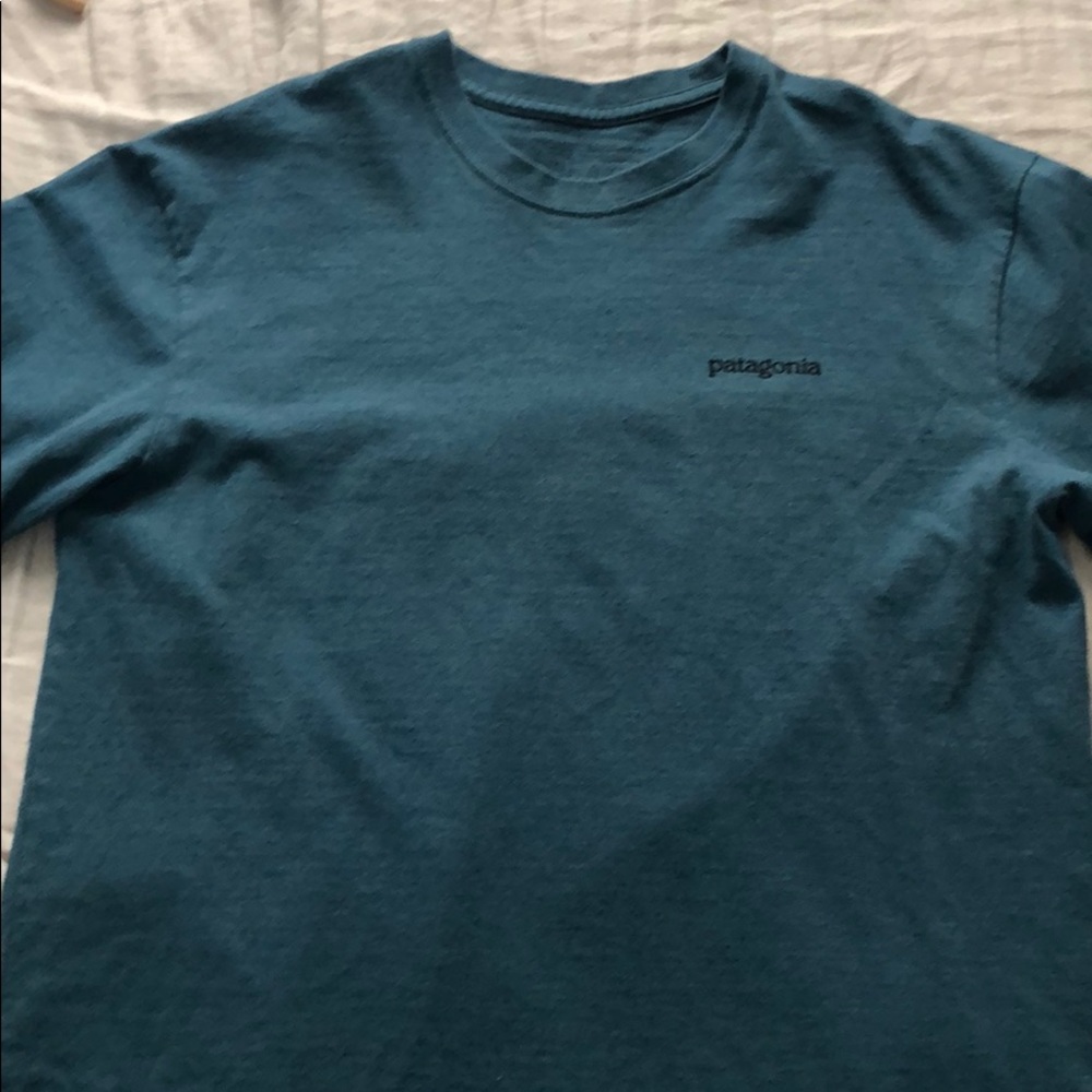 Mens Patagonia T-Shirt